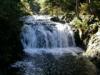 Stave Fall