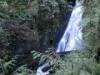 Stave Fall