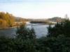 Stave Fall
