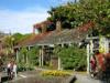 Apple Day at UBC Botanical Garden